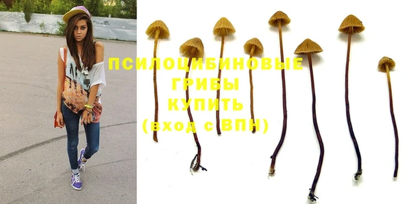прущие крисы Горняк