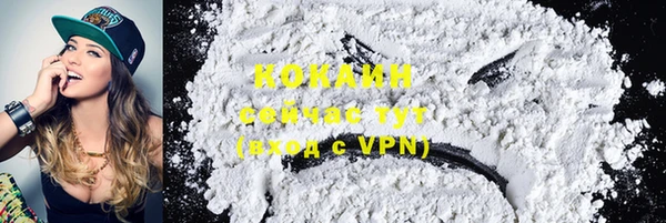 прущие крисы Горняк