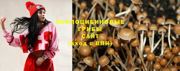 COCAINE Горно-Алтайск