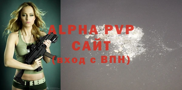 прущие крисы Горняк